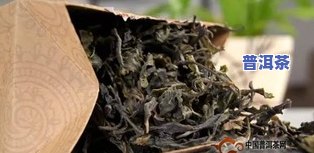 普洱茶可以用青毛茶吗-普洱茶可以用青毛茶吗为什么