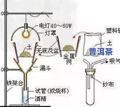 深入理解：普洱茶助消化的原理与作用解析