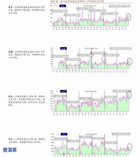 易武普洱茶报价表大全：最新价格与图片一览