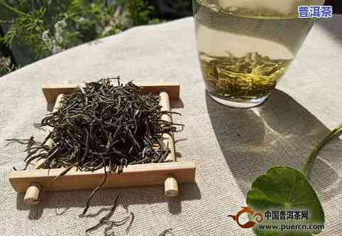 滇红普洱茶是红茶吗？它是红茶、绿茶还是白茶？还是普洱茶的一种？