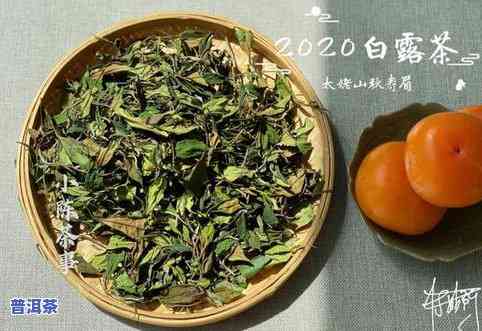 滇红普洱茶是红茶吗？它是红茶、绿茶还是白茶？还是普洱茶的一种？