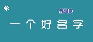 普洱茶抖音名大全：如何取一个吸引人的名字？