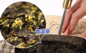 普洱茶发霉有白色胶状物还能喝吗？有害吗？图片解析