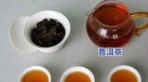 普洱茶有去火作用吗？探讨其科学依据与实际效果