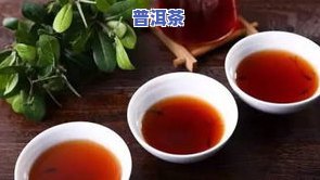 茶农普洱茶老店高清图片，了解茶农普洱茶品质