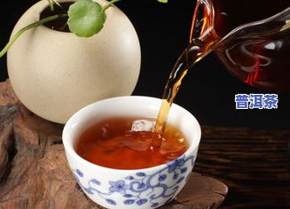 普洱茶能消食吗？真相、饮用方法及百科全解