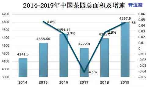 2019年茶叶产量-2019年茶叶产量多少顿