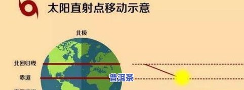 茶叶一天喝多少适量比较好？影响因素与适宜量分析