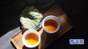 普洱茶王和普洱茶皇后：谁才是真正的大佬？