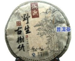 专供普洱茶：专业卖家提供正品普洱茶，只在专卖网站销售