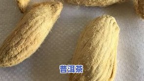 茶叶中没食子酸：功效、危害及作用全面解析