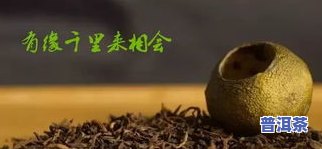 小青柑普洱茶叶价格全揭秘：多少钱一斤？看图就知道！