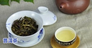 普洱茶春茶：特点、价格及上市时间详解