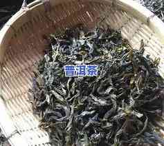 普洱茶普遍便宜-普洱茶普遍便宜吗