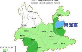 产普洱茶的地方叫什么山地？探讨普洱茶的产地及其特点