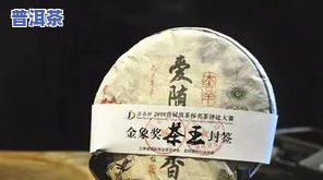 普洱茶经验之谈：陈晓雷的专业探讨与实践