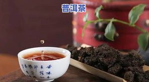 普洱茶是不是不会过期？熟悉保存方法与期限