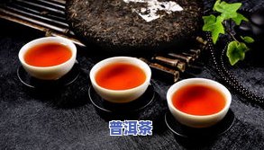 南山普洱茶-南山普洱茶口感特点