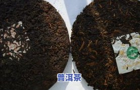 普洱茶发青霉有吗？如何判断能否饮用或食用以及去除霉味？