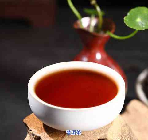 糯香普洱茶排名：十大名牌口感价格全解析