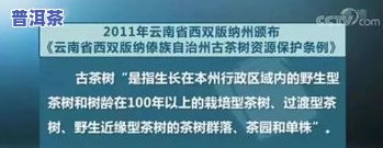 普洱茶争议：探讨热门话题与，解析争议焦点