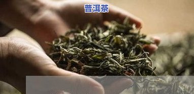 印象庄园普洱茶价格表：全面熟悉各类茶叶的价格及图片