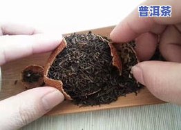 深入熟悉普洱茶：特点、口感及陈皮普洱的特别风味