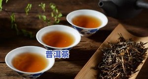 英式茶推荐：十大热门及推荐理由