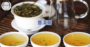 普洱茶饱满-普洱茶饱满度