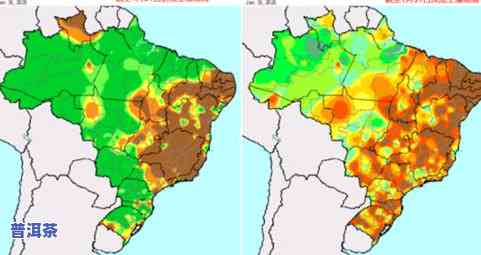 广东普洱茶产地与特点全面解析：知名及场一览