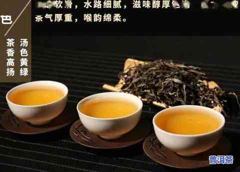 广东人喝普洱茶的历史-广东人喝普洱茶的传统