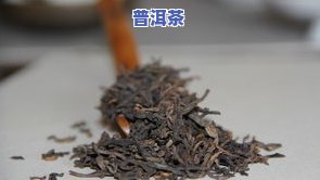 青木普洱茶-青木茶叶