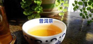 黑龙江普洱茶喝法大全图-黑龙江普洱茶喝法大全图片