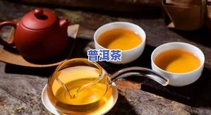 勐海普洱茶如何正确冲泡？技巧与方法大揭秘！