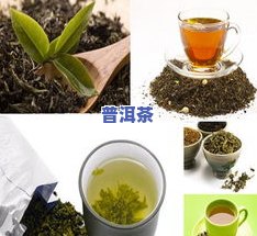 131茶叶品种图片-131茶叶品种特点