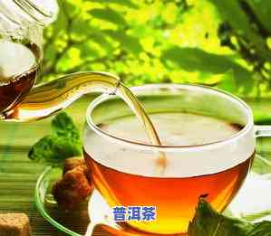 131茶叶品种图片-131茶叶品种特点