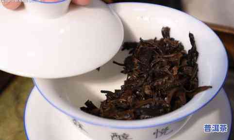 云南西双版纳隆昌普洱茶厂：专业生产西双版纳隆昌普洱熟茶、茶叶，品质保证，欢迎选购！