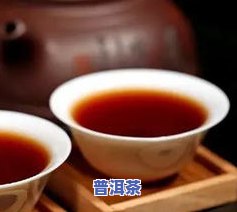 春蕾普洱茶-春蕾茶叶