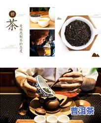 春蕾普洱茶-春蕾茶叶