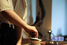 金芽普洱茶好不好，探索金芽普洱茶的魅力：一份全面的评测与解析