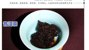 老寨宫廷普洱茶-老宫廷普洱茶怎么样