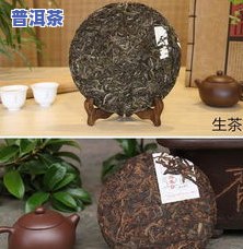 龙印普洱茶是什么意思啊-龙印普洱茶是什么意思啊