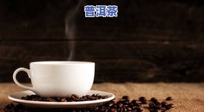 揭示假普洱茶：深度调查普洱茶市场中的造假现象