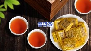 几月份去云南买普洱茶-几月份去云南买普洱茶更好