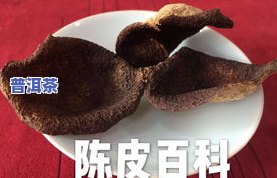 几月份去云南买普洱茶-几月份去云南买普洱茶更好