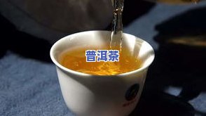 南茗佳人普洱茶旗舰店地址及电话，全网更低价！