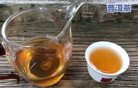 南茗佳人茶质量怎样？官网产品评价及收藏建议