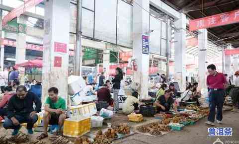 寻找长兴茶叶市场？在哪里进货、交易？一网打尽！