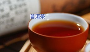 长兴普洱茶-长兴号普洱茶