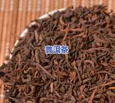 勐海普洱茶销量-勐海普洱茶销量排名